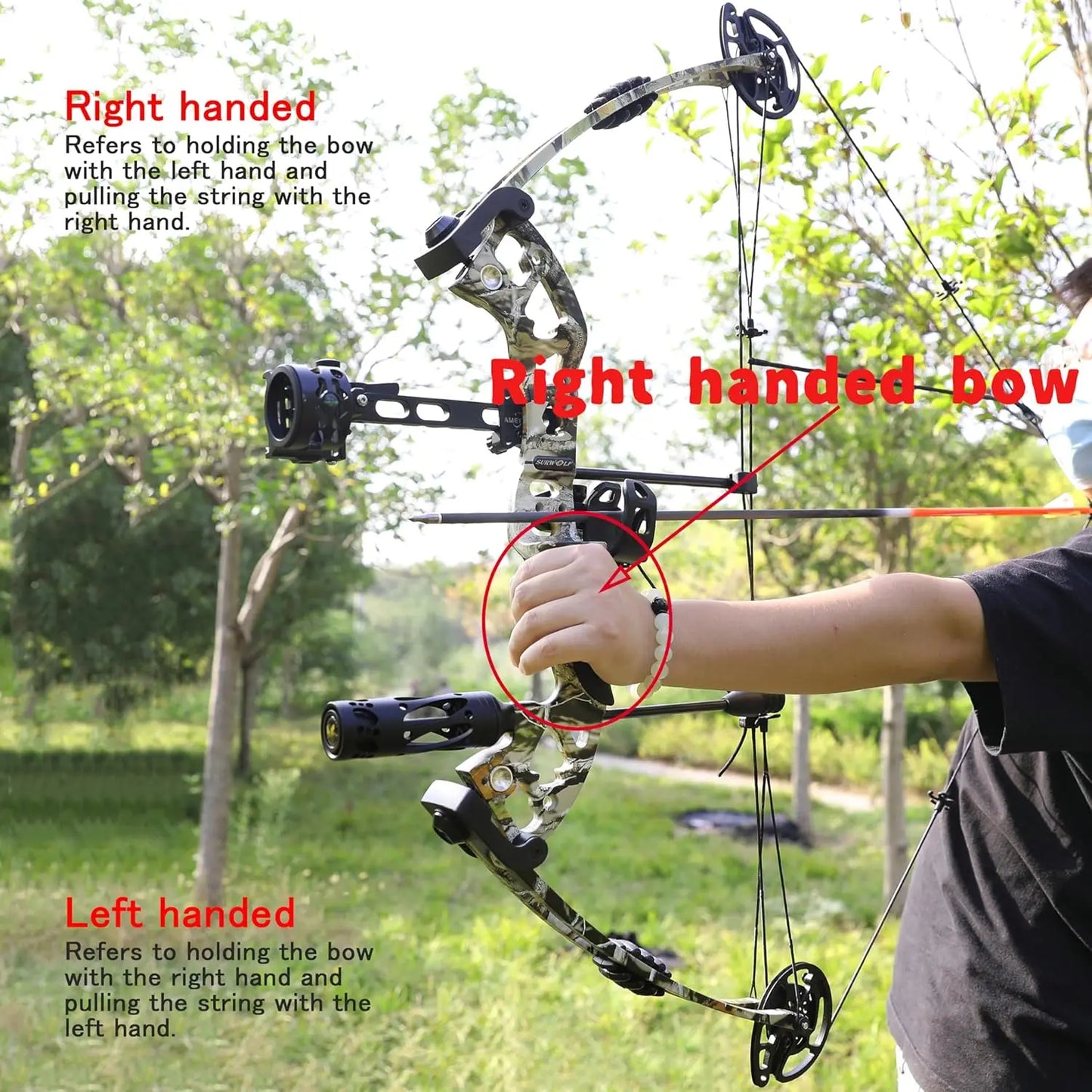 Adjustable Compound Bow Kit for Hunting and Target Shooting