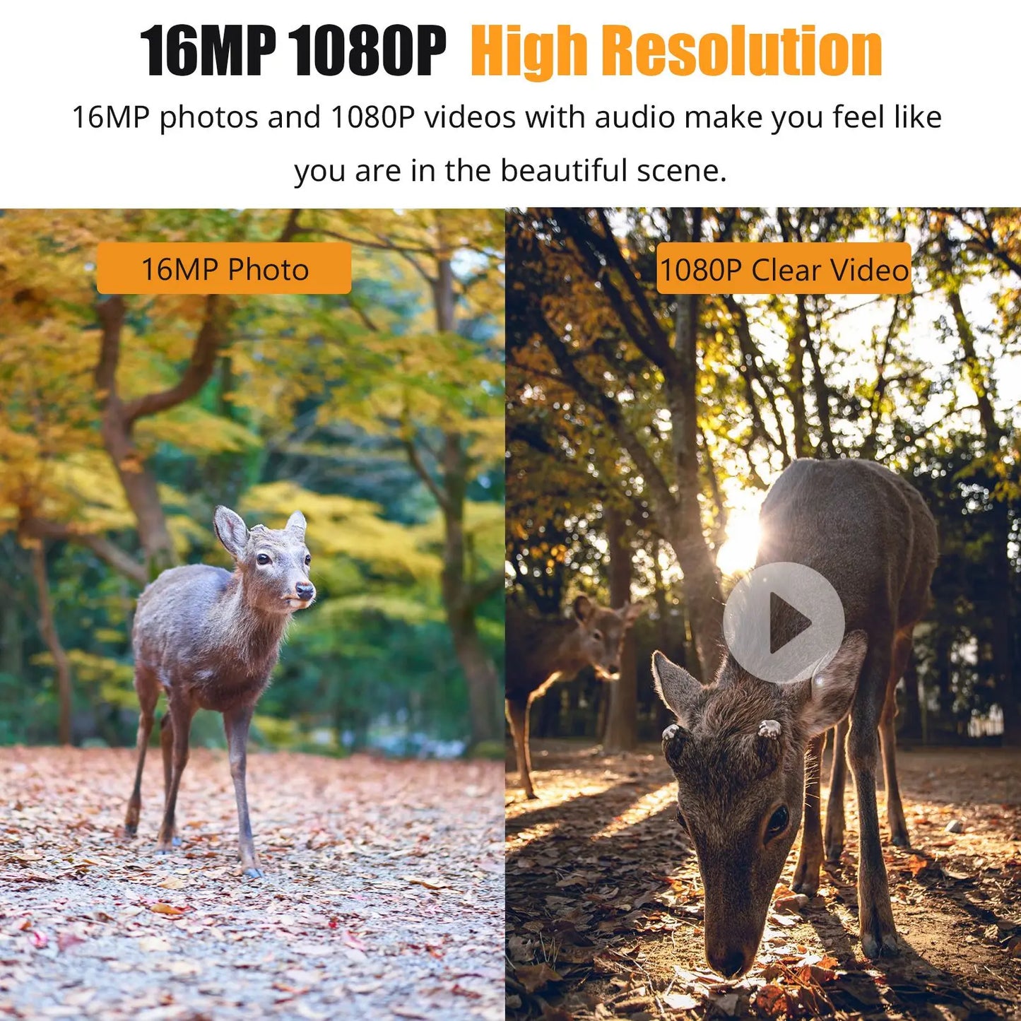 1080P Hunting Camera 16MP Night Vision Waterproof Trail Cam